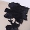 2 Pieces Embroidered Rose Iron On Patches for Denim Jackets Bags DIY Clothing Black Color